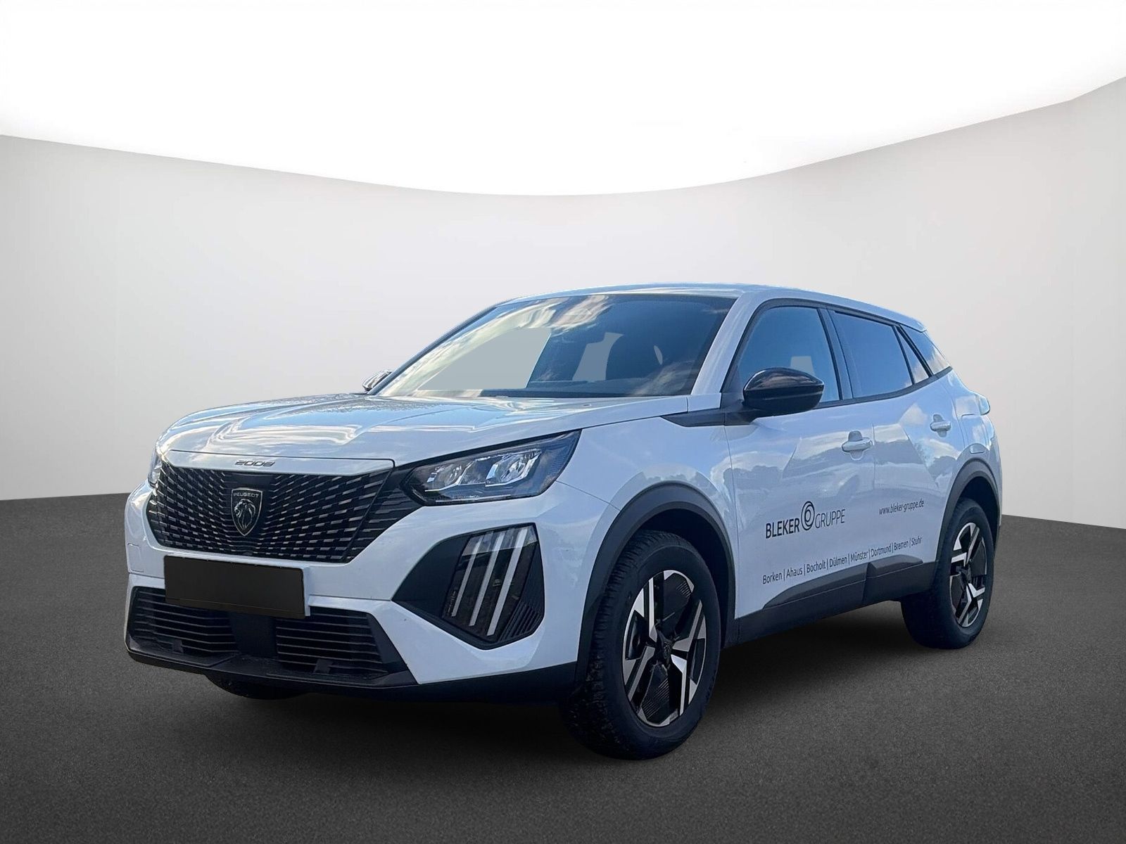 Peugeot 2008 Business Benzin 100