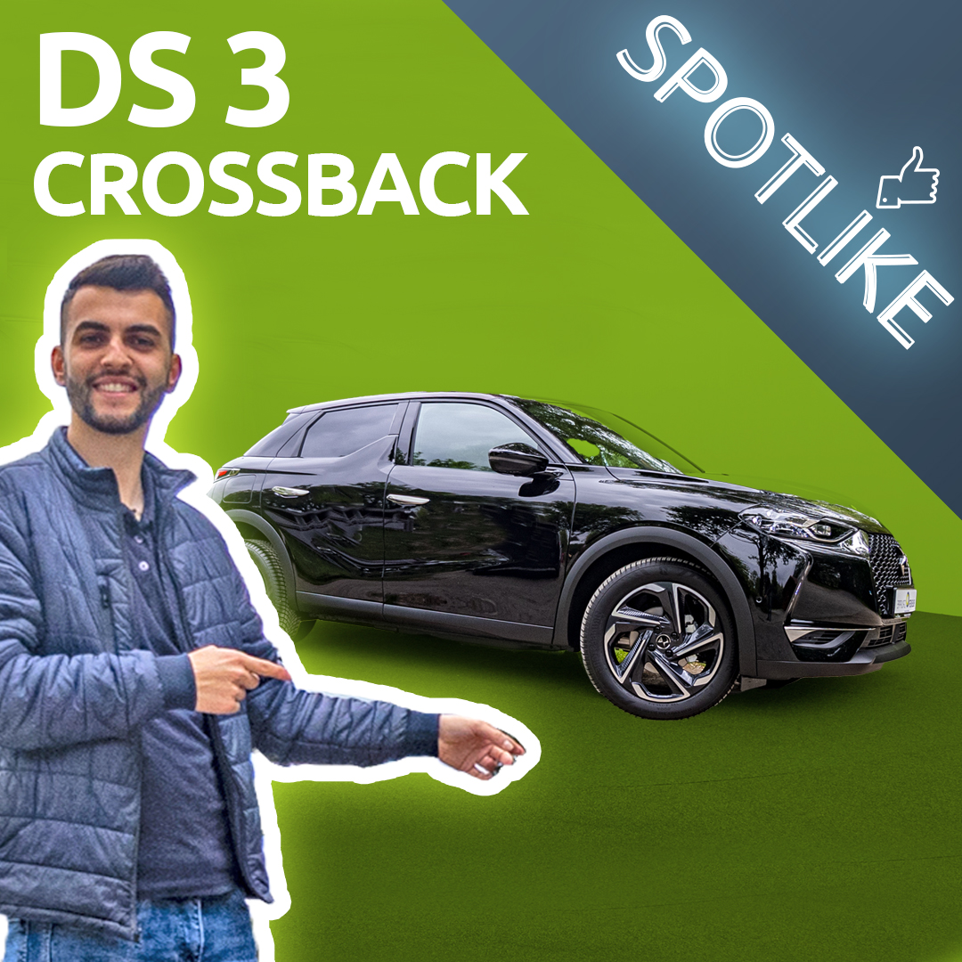 DS3