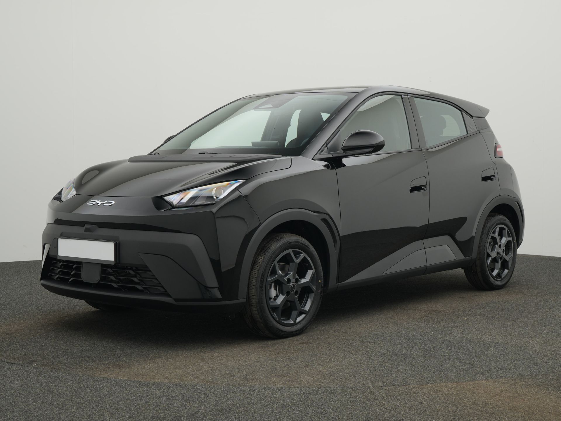 BYD DOLPHIN SURF Boost
