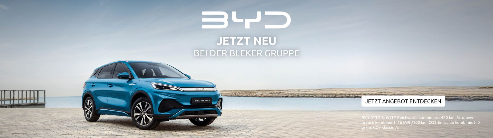 Neue Marke BYD