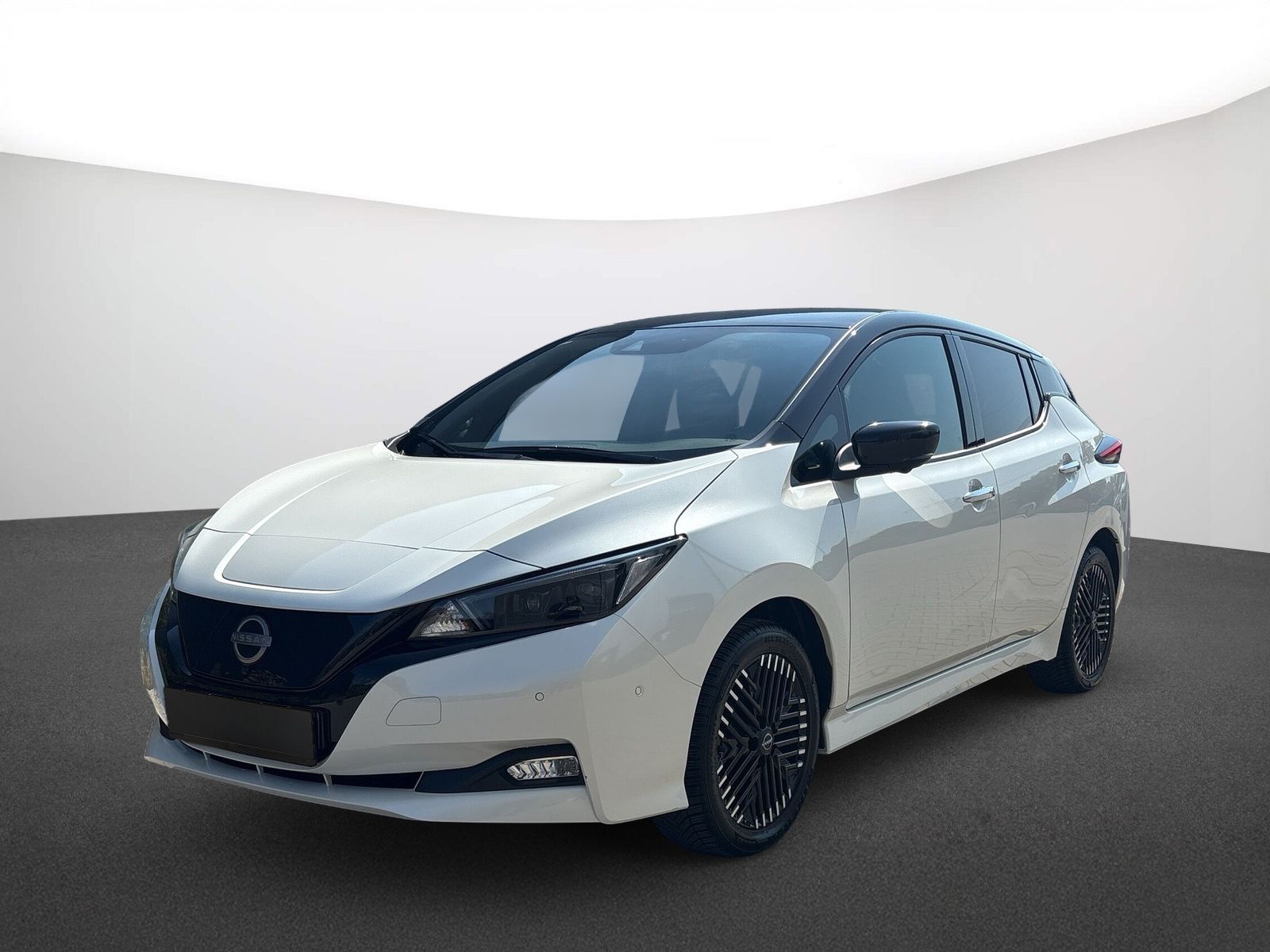 Nissan Leaf e+ Tekna