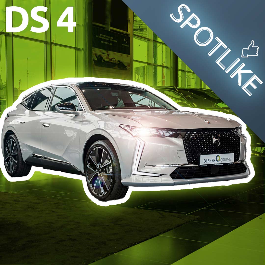 Link YouTube DS 4