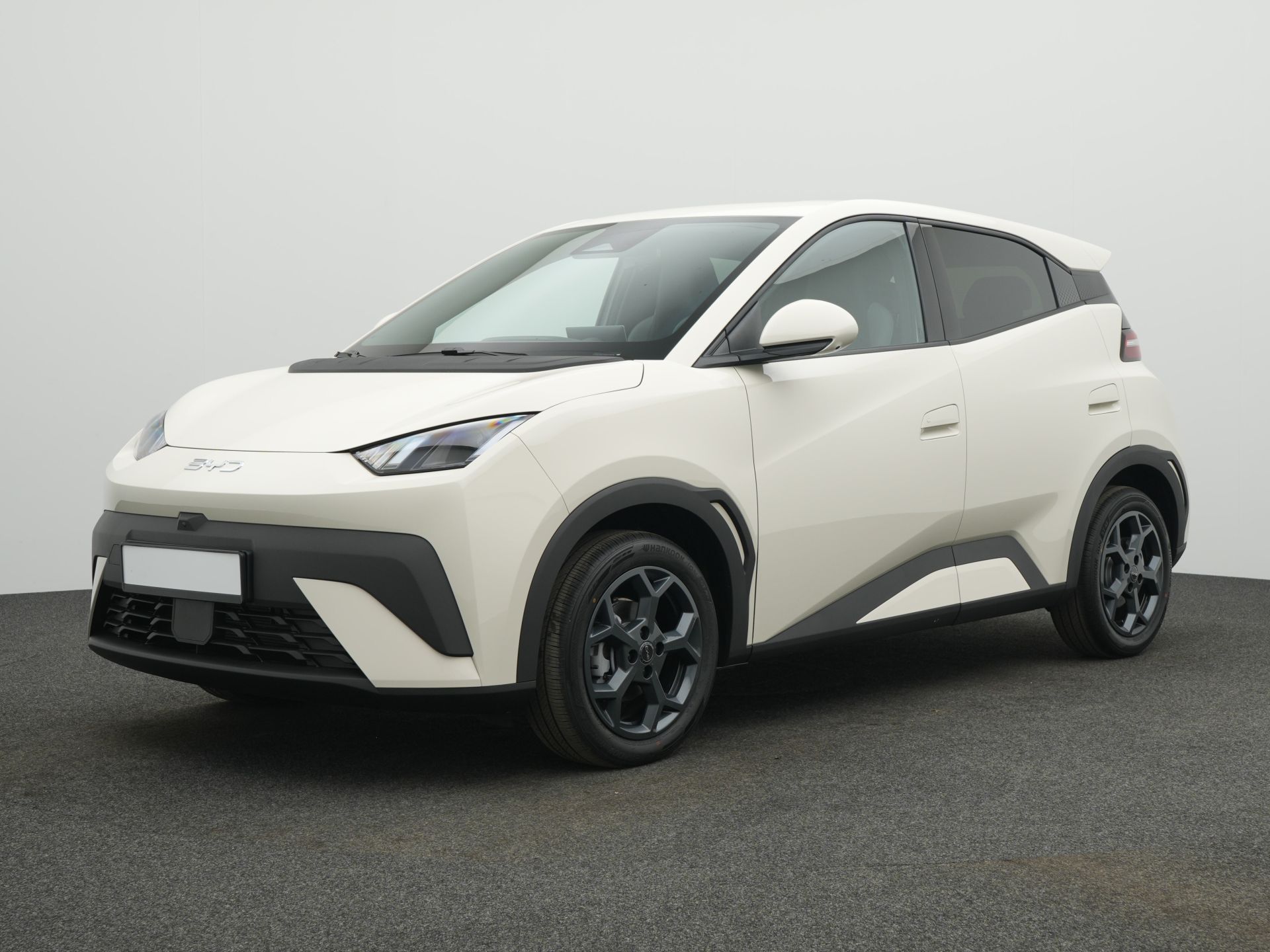 BYD DOLPHIN SURF Comfort