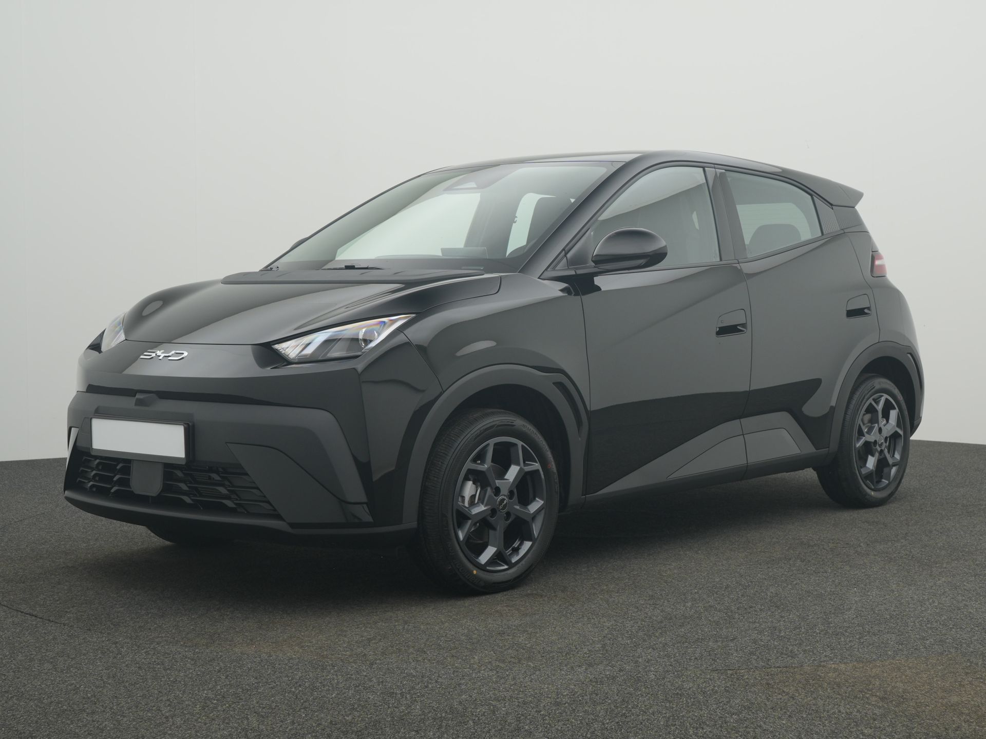 BYD DOLPHIN SURF Boost